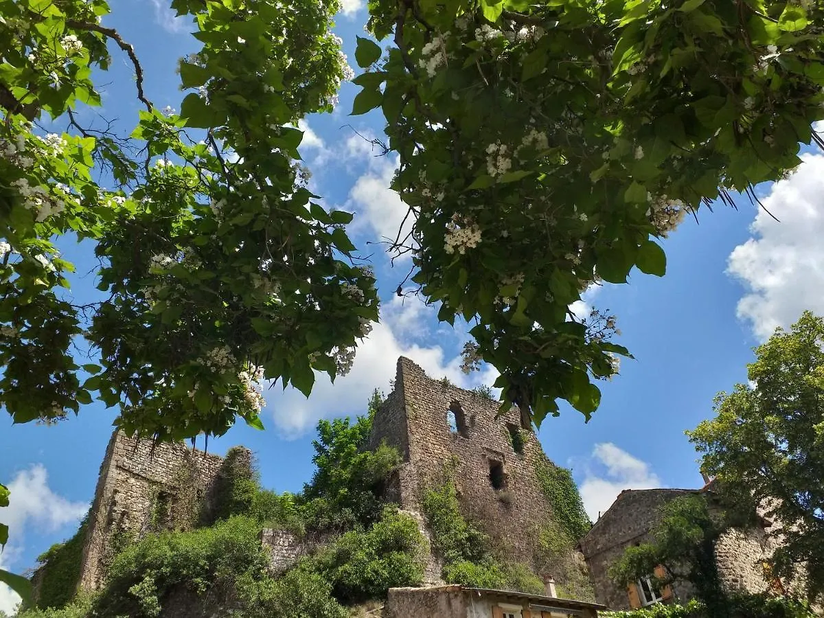 Les pentes du chateau de Retourtour Lamastre 0*,